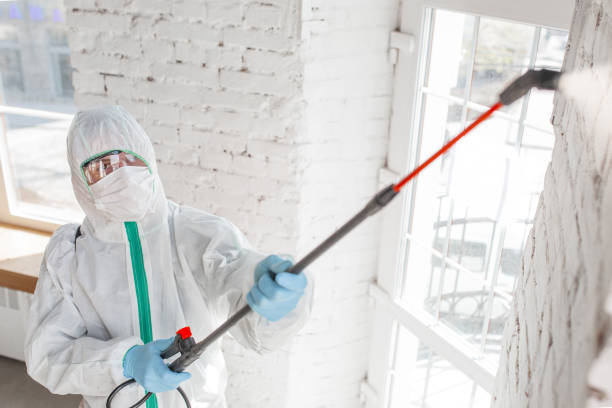 Best Asbestos and Lead Testing During Mold Inspection  in Renville, MN