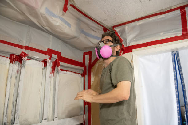 Best Mold Odor Removal Services  in Renville, MN