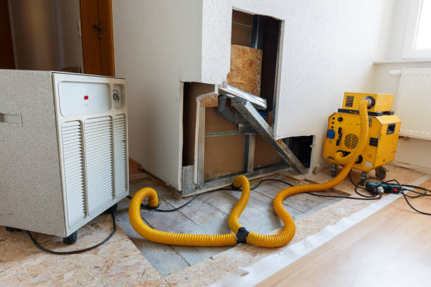 Best HVAC Mold Inspection and Cleaning  in Renville, MN