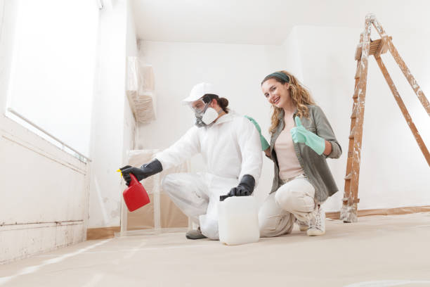 Renville, MN Mold Removal Company